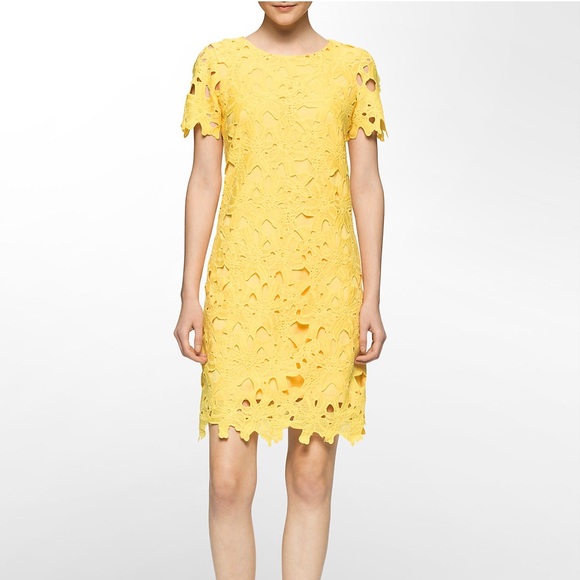 Calvin Klein Women's Embroidered Floral Lace sheath Dress (4, Canary)